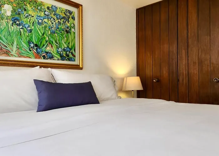 Casa Tamayo México DF